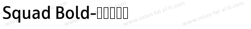 Squad Bold字体转换